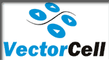 VectorCell