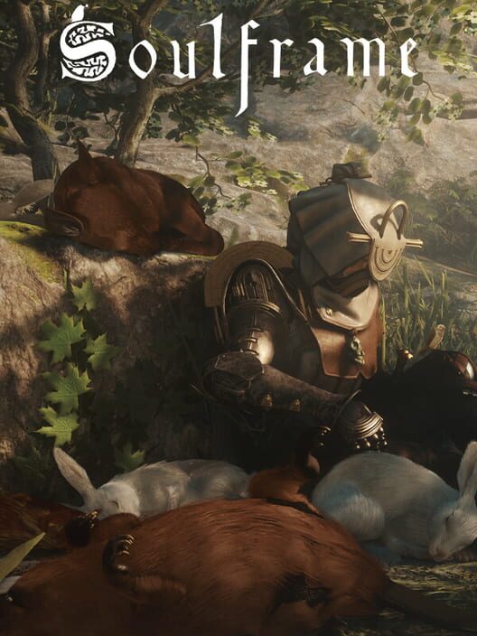 Jaquette de Soulframe