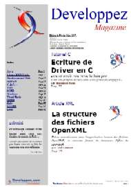Jaquette de Fanzines — n°DevMag 08