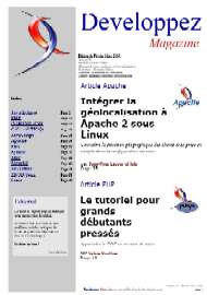 Jaquette de Fanzines — n°DevMag 20