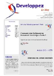 Jaquette de Fanzines — n°DevMag 28
