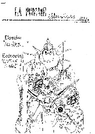 Jaquette de Fanzines — n°Pomme Illustree 00