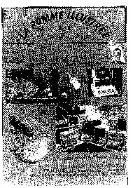 Jaquette de Fanzines — n°Pomme Illustree 11