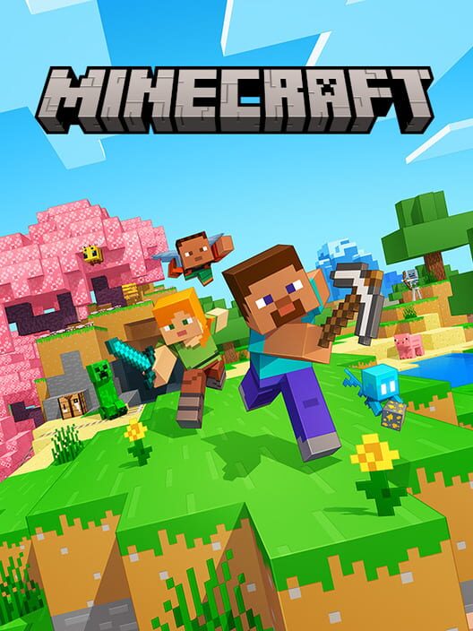 Jaquette de Minecraft