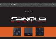 Jaquette de Webzine — n°SANQUA 01