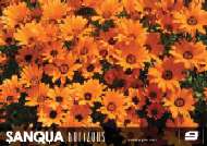 Jaquette de Webzine — n°SANQUA 46