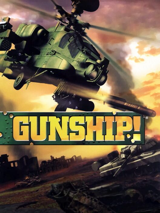 Jaquette de Gunship!