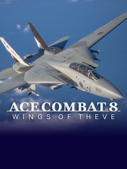 Jaquette de Ace Combat 8: Wings of Theve - Playable Aircraft: F-14A