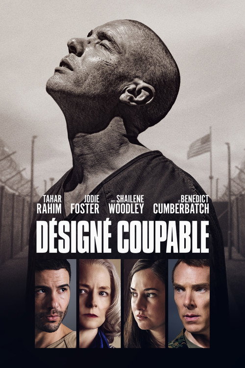 Jaquette de Désigné Coupable