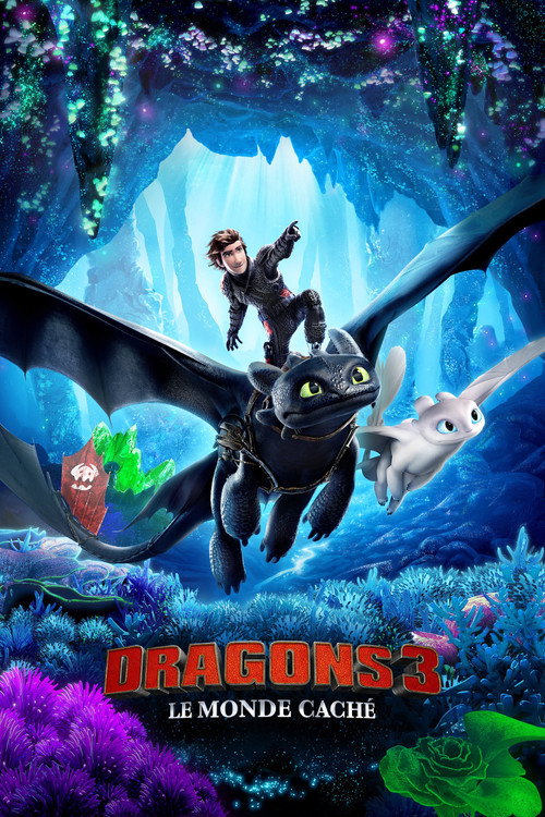 Jaquette de Dragons 3 : Le monde caché