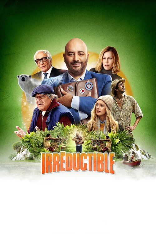 Jaquette de Irréductible