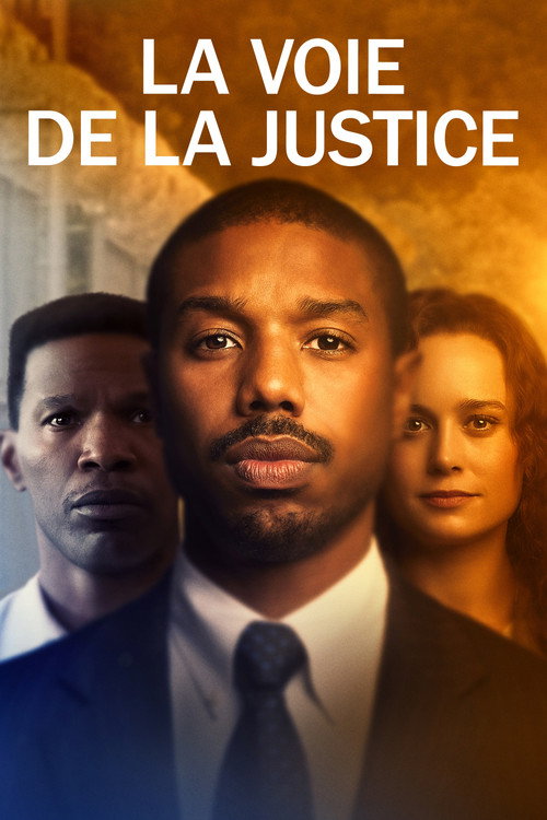 Jaquette de La Voie de la justice