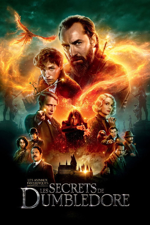 Jaquette de Les animaux fantastiques 3 : Les secrets de Dumbledore