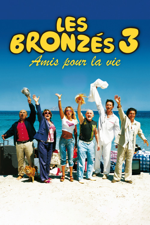 Jaquette de Les Bronzés 3 : Amis pour la vie
